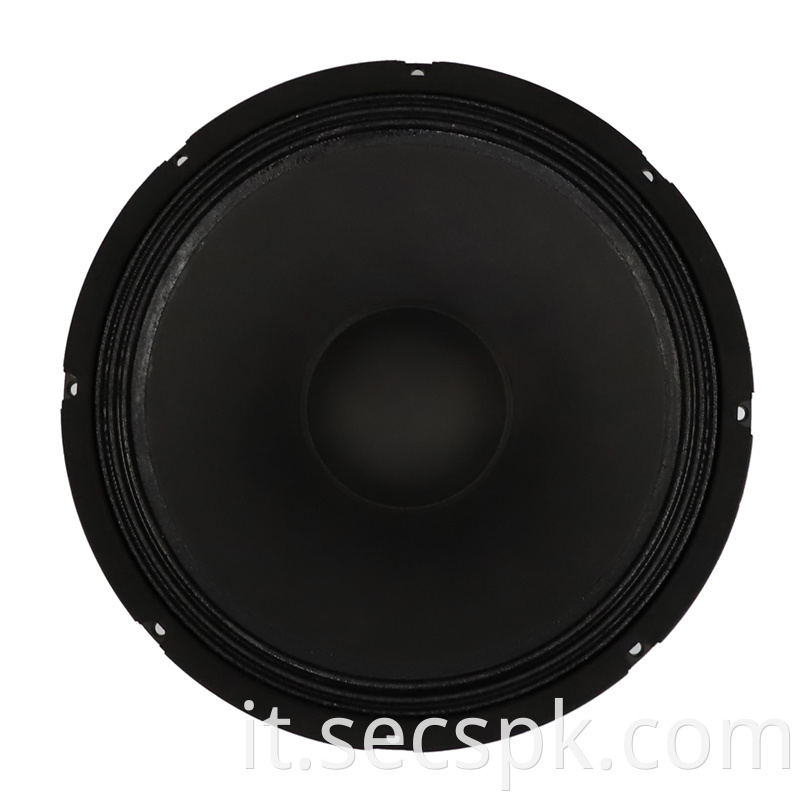 15inch Concert Speaker